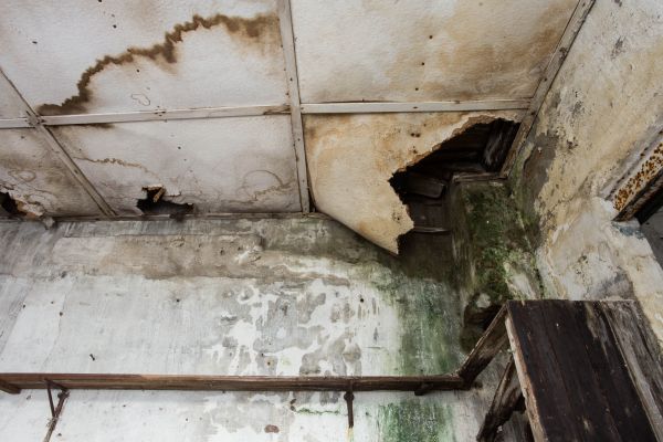 Cost of Water Damage Service in Seminole