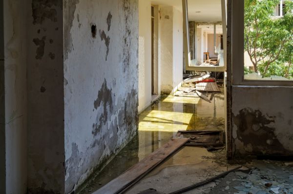 Cost of Water Removal Service in Seminole