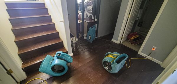 Cost of Water Damage Remediation in Seminole