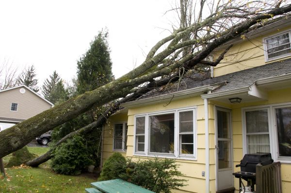 Cost of Hurricane Damage Repair in Seminole