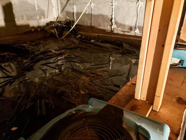 Cost of Crawlspace Water Cleanup in Seminole