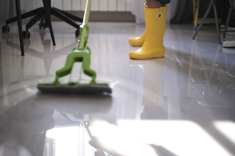Crawlspace Water Cleanup detail