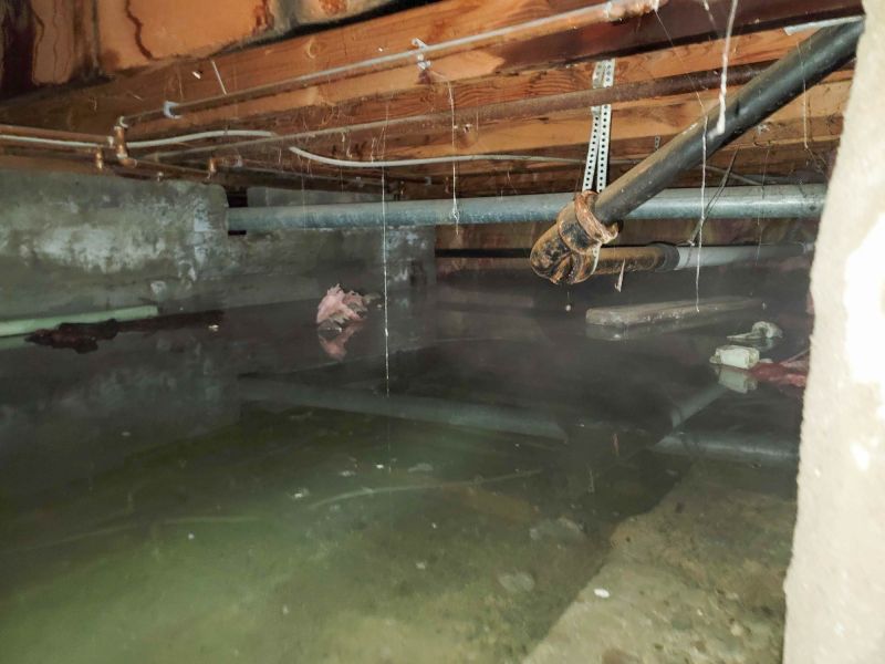Crawlspace Water Cleanup detail