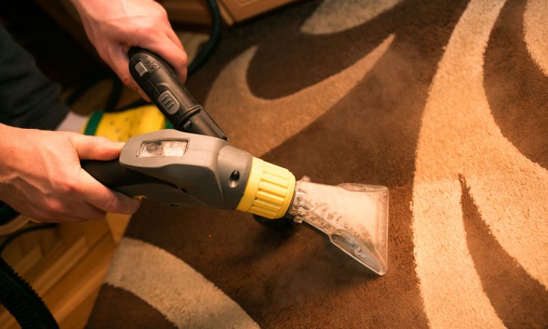 Wet Carpet Restoration detail